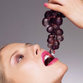 Diets - which is the best diet? The South Beach and Zone diets