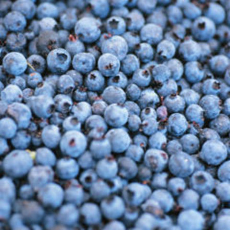 2. Blueberries