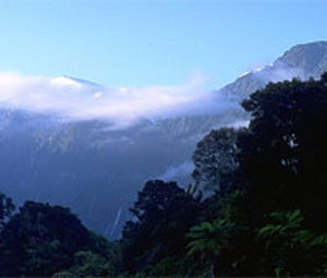New Zealand