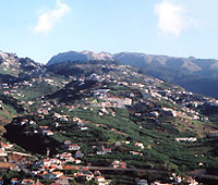Madeira