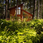Retreat to the heart of Sherwood Forest