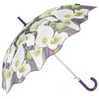 SHOP! Topshop's Lily print umbrella
