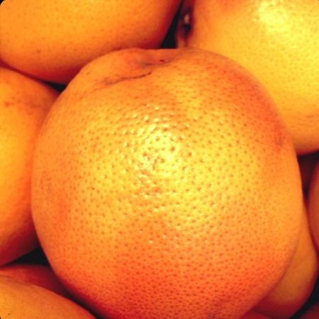 Grapefruit diet