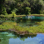 Go Green! 8 of the best lush landscapes