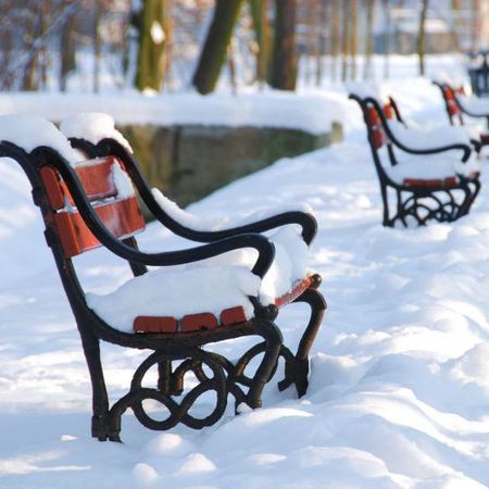 Snow covered benches and park