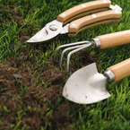 Gardening interiors