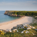 Barafundle Beach