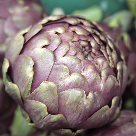 Artichoke