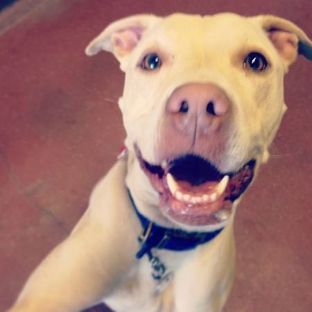 Justine selfie, Battersea Cats and Dogs Home