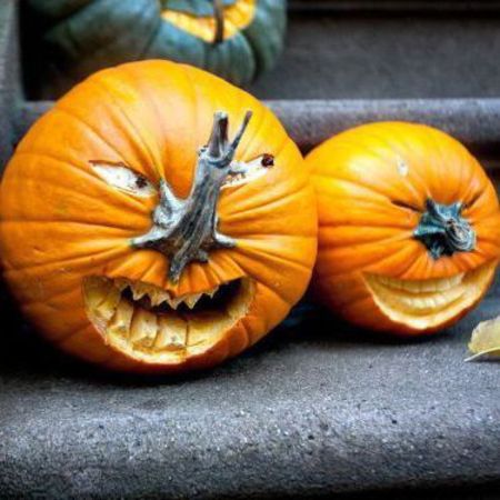 Pumpkin carving that says how we're feeling