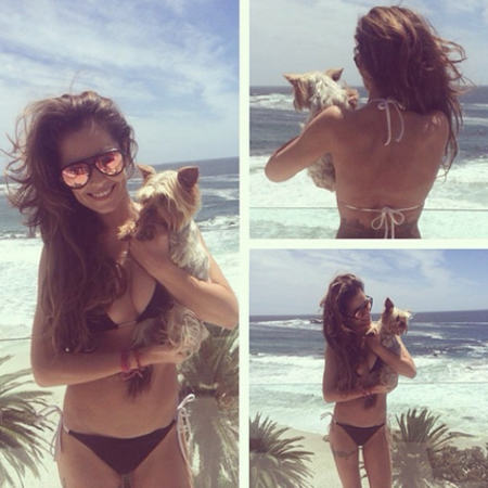 cheryl cole in bikini holding a cute dog - celebrity holiday pictures - handbag.com