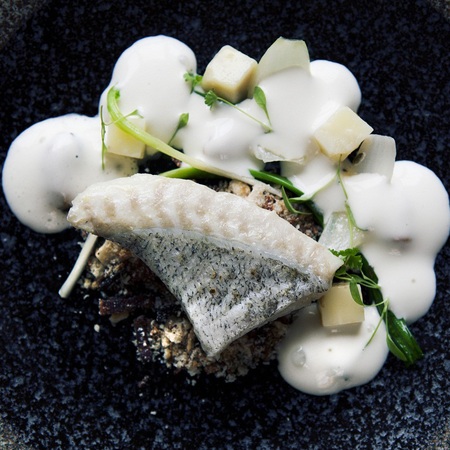 Titchwell Manor hotel review - Norfolk hotel review - travel hotel reviews - where to stay in Norfolk - travel ideas - food - conservatory - handbag.com