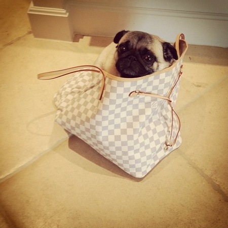 Bags | Handbags | Designer bags | Designer handbags | Suzy Smith