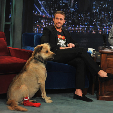 ryan gosling - dog George - reasons why Ryan Gosling is a social media icon - feature - day bag - handbag.com