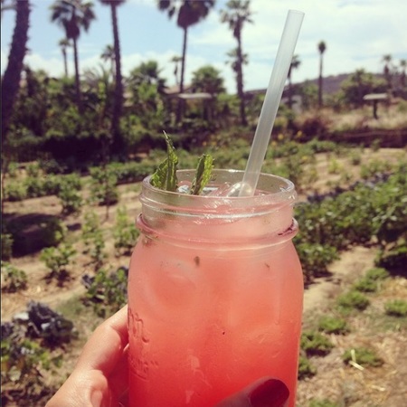 lauren conrad - hen do / bachelorette party in Mexico holiday with friends - travel news - travel bag - handbag.com
