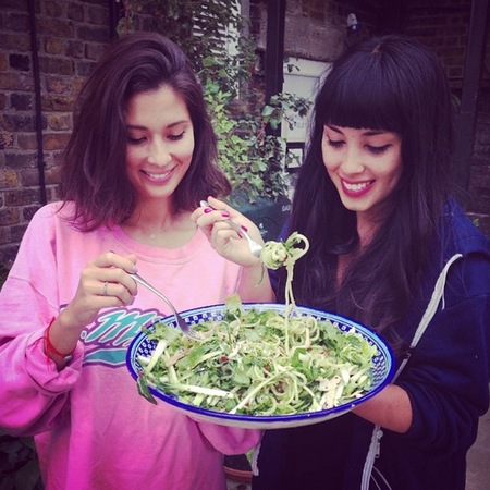 Hemsley and Hemsley book - the art of eating well cover - healthy eating books - health food - diet and fitness advice - handbag.com
