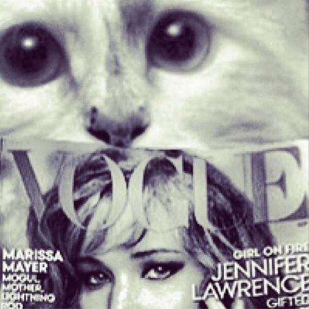 Karl Lagerfeld choupette - with Vogue - instagram - releases new book - day bag - handbag.com